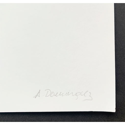 En venta Impresión de Arantza Domínguez, Serie Desert Planet, detalle firma en obra gráfica